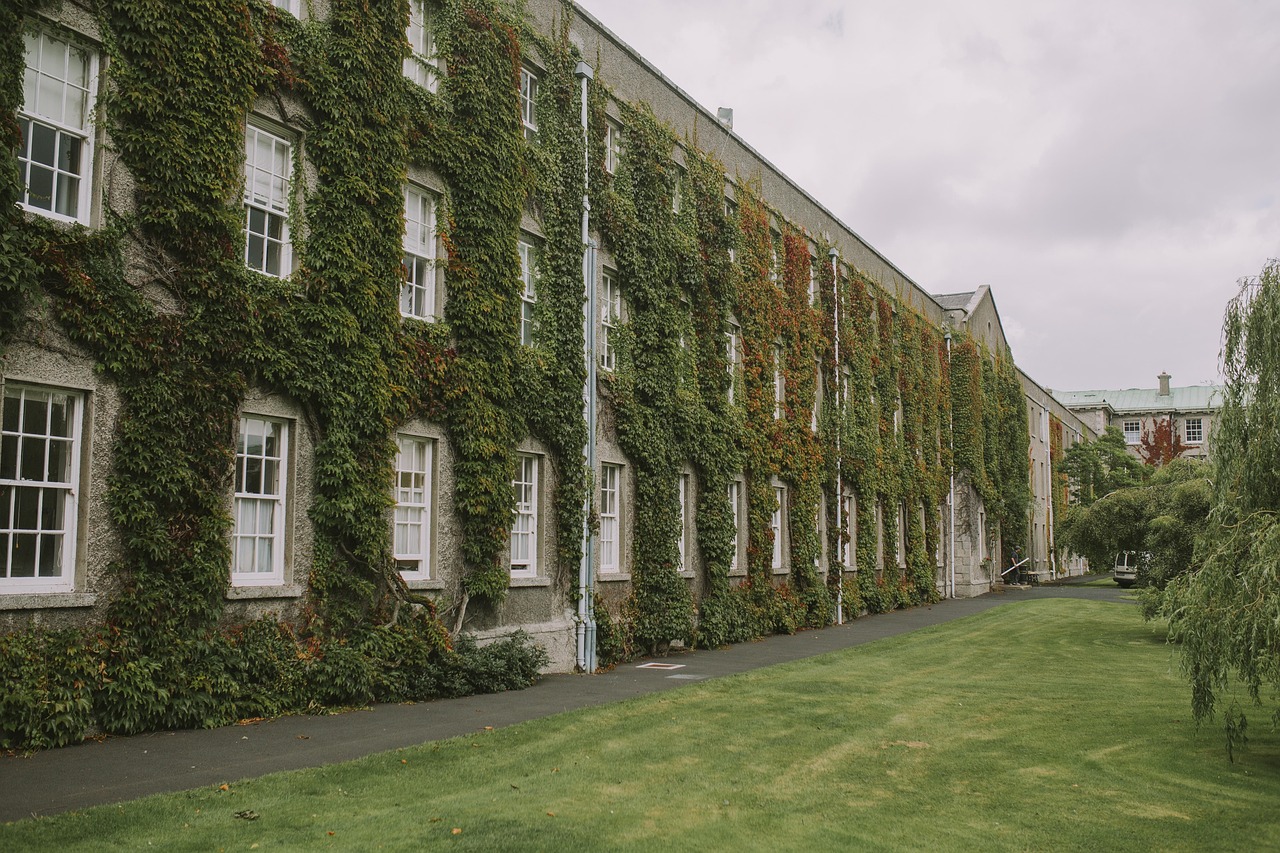 Generic image of an ivy-covered building.
